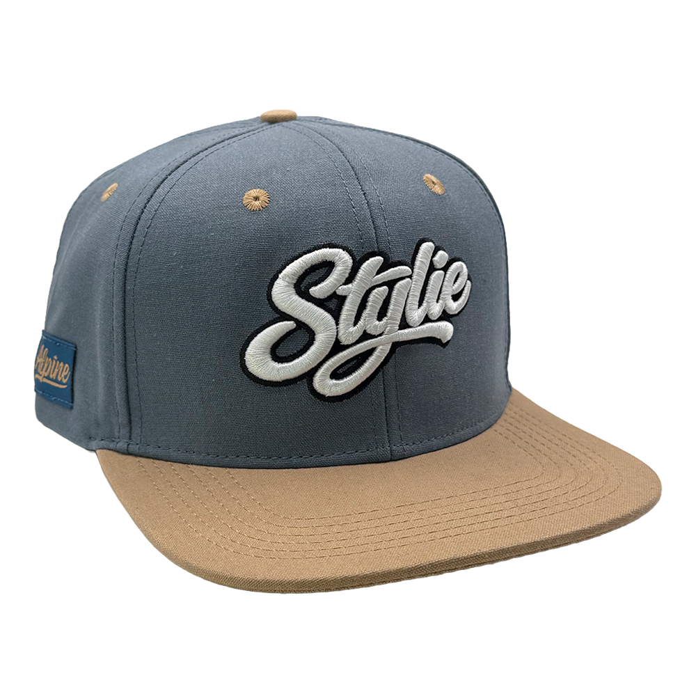 v1